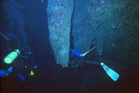 Great Blue Hile - Lighthouse Atoll