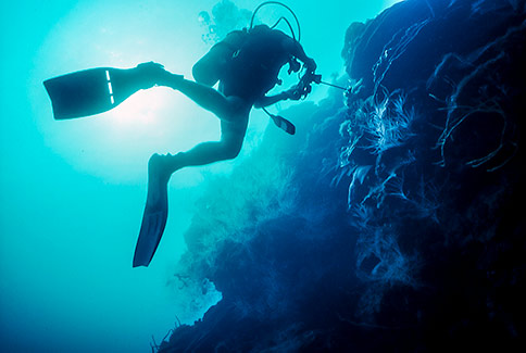 Diver Shilouette - San Blas Islands