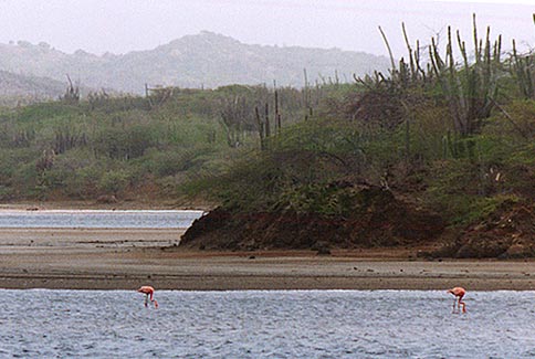 Washington National Park - Bonaire