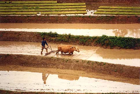 Soc Cho on Sea of Japan
