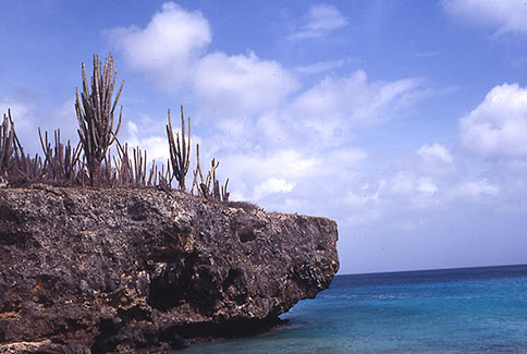 Washington National Park - Bonaire