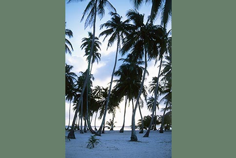 South West Key - Glover's Atoll, Belize